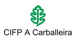 Logo CIFP